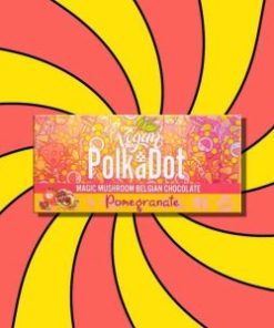 polkadot pomegranate chocolate bar for sale polkadot official shop 1